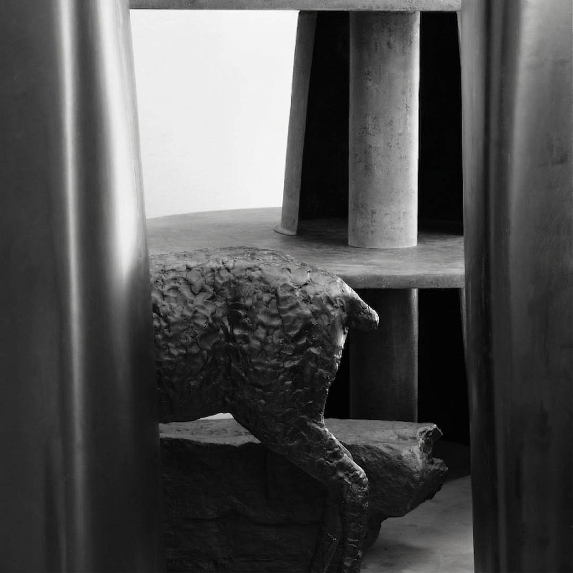 SONNAMBULO LUCIDO | 10 CORSO COMO